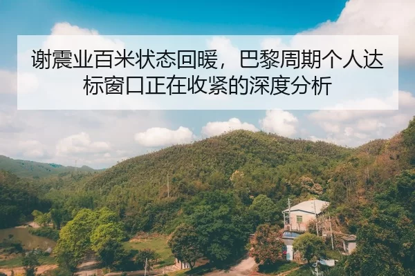xie-zhen-ye-bai-mi-zhuang-tai-hui-nuan-ba-li-zhou-qi-ge-ren-da-biao-chuang-kou-zheng-zai-shou-jin-de-shen-du-fen-xi-2-572.jpg